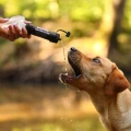 BOXIO_Bildebene-Wash-Up-11_25-DACH9.webp
