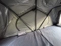 IMG_2915.jpg